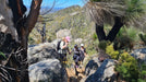 Mt Cooke Hiking Experience - We Wander