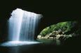 Natural Bridge & Springbrook Waterfalls Tour - We Wander