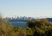 Nature, Culture And History Immersion In North Head Walk - We Wander