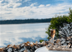 Oyster Farm Shuck And Chat - We Wander