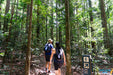 Pack - Free Camping: Lake Mckenzie Eco Walk - 2 Days - We Wander