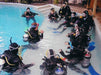 Padi Open Water Dive Course - We Wander