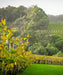Perth, Fremantle, Swan Valley & Wildlife Park - We Wander