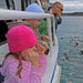 Phillip Island Seal Cruise - Family - We Wander