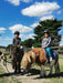 Pony Party - 1 Hour - Woodlands Lodge - We Wander