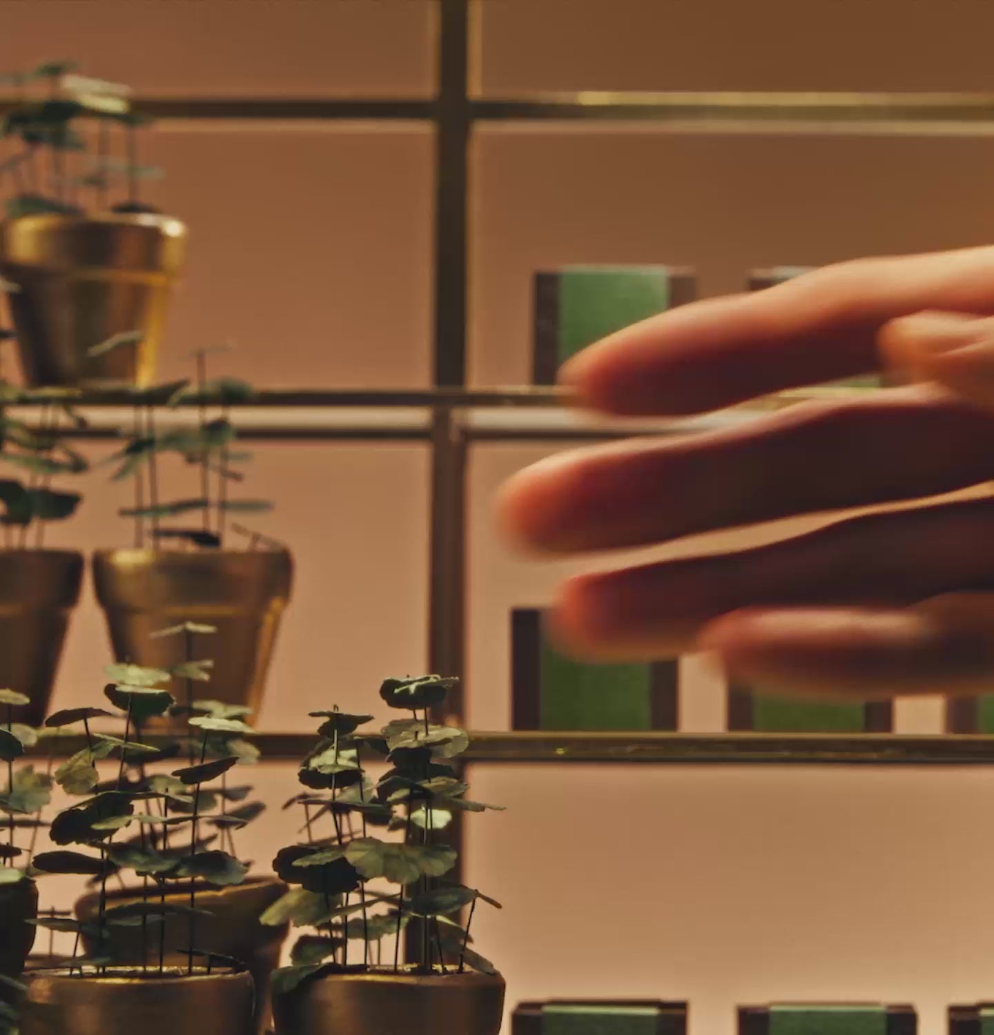 Party in the Greenhouse