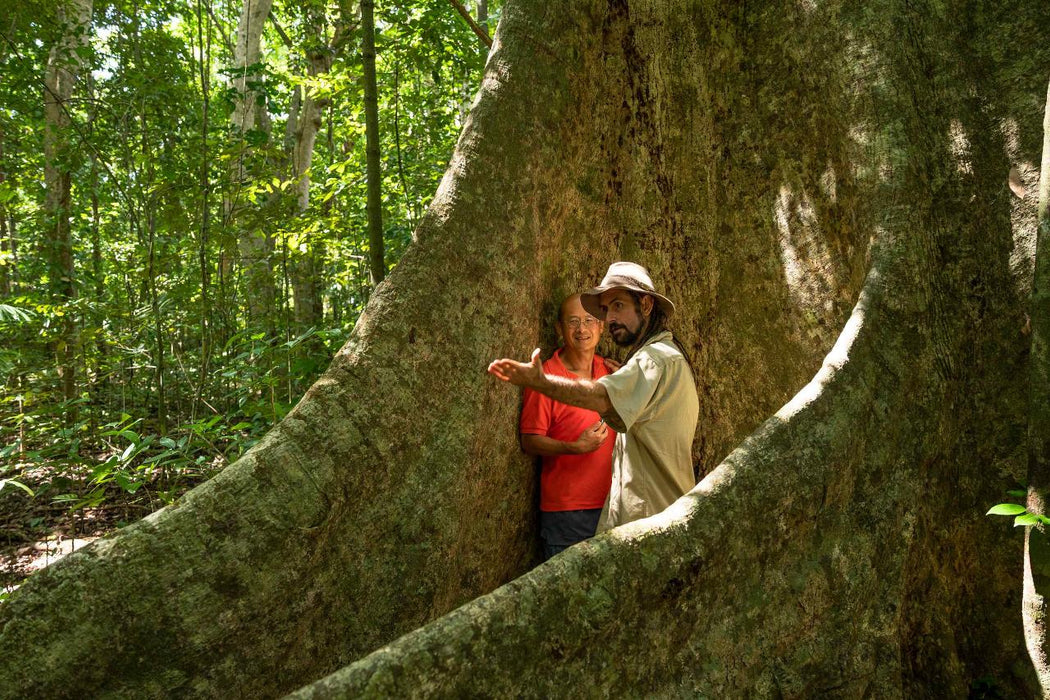 Private 1 Day Chillagoe Caves Tour - We Wander