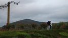 Private Boutique Hunter Valley Winery Tour Full Day 3 People Includes Delicious Lunch - We Wander