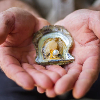 Private Broken Bay Pearl Farm Tour - We Wander