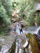 Empress Canyon Abseiling And Canyoning Adventure - Blue Mountains