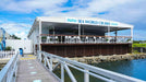 Sea World Whale Watching - We Wander