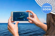 Sea World Whale Watching - We Wander