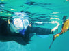 Snorkel With Sea Dragons - We Wander