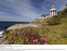 Sydney City Highlights Half Day Afternoon Private Charter Tour - We Wander