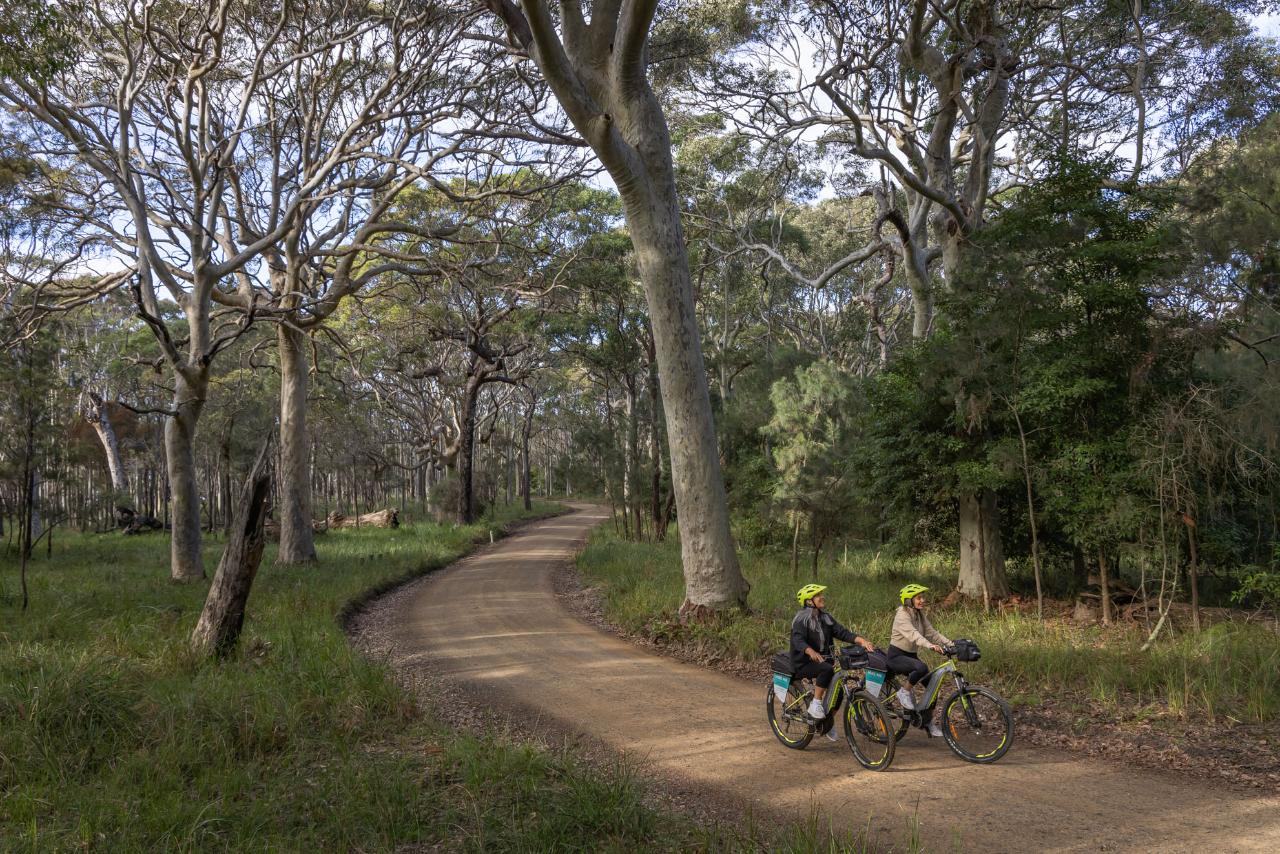 partner-Localing Australia