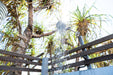 Top End Safari Camp Overnight Tour - We Wander