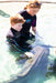 Zebra Shark Encounter With Entry Pass - We Wander