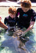 Zebra Shark Encounter With Entry Pass - We Wander